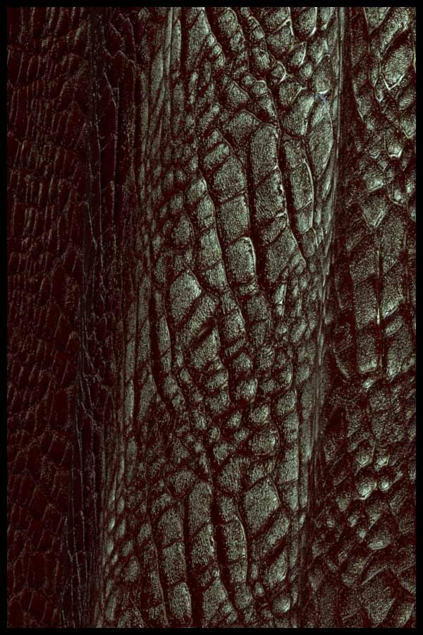 Raw Skin DS by N/A