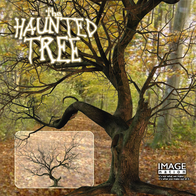 The Haunted Tree by N/A