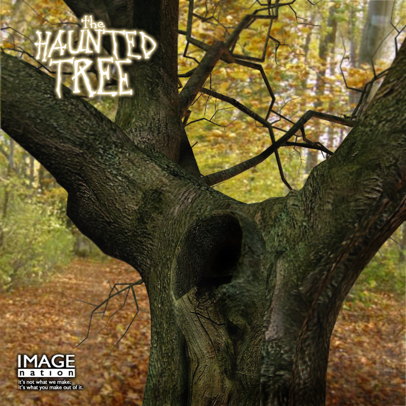 The Haunted Tree by N/A