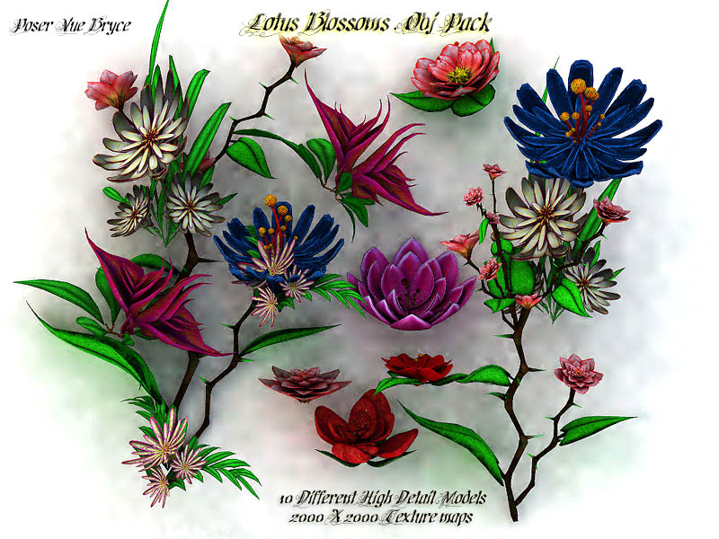 Lotus Blossoms .Obj Pack by N/A