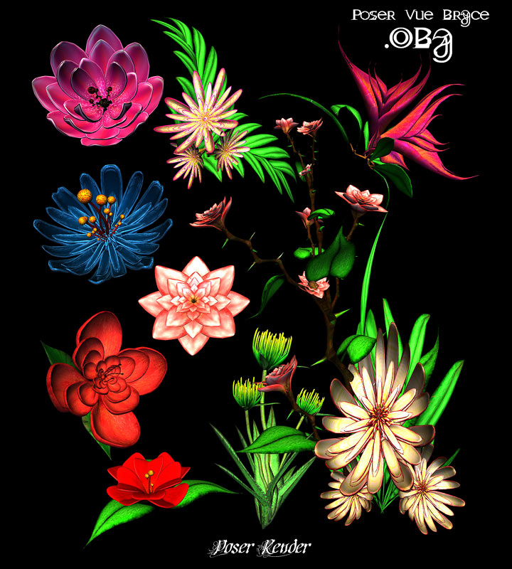 Lotus Blossoms .Obj Pack by N/A