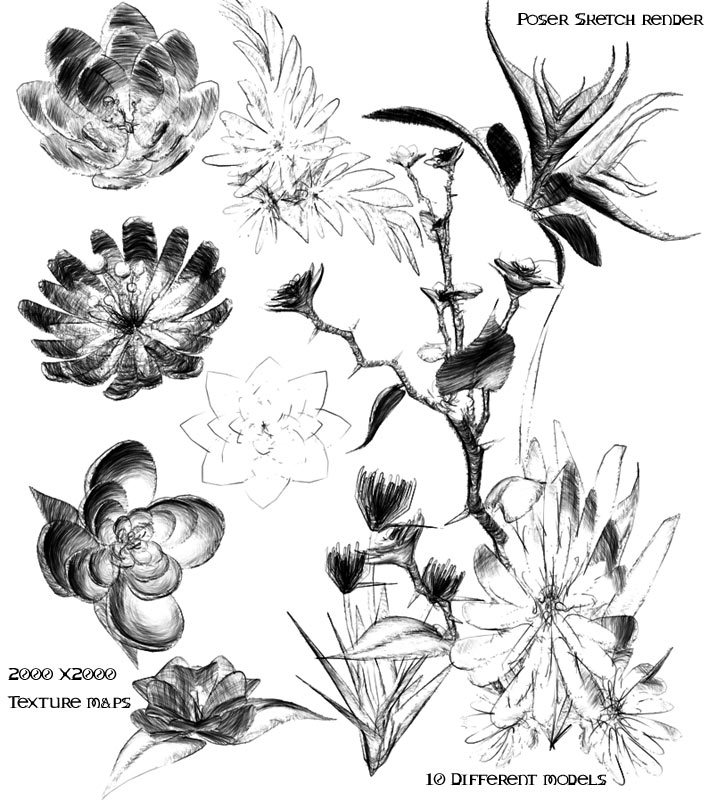 Lotus Blossoms .Obj Pack by N/A