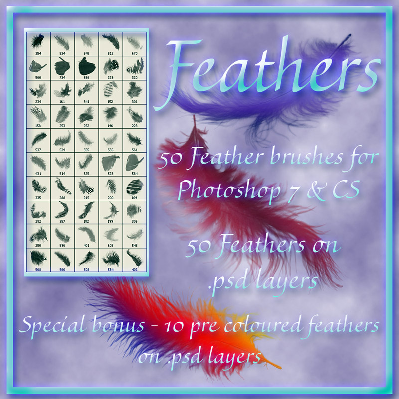 Feather Brushes by N/A