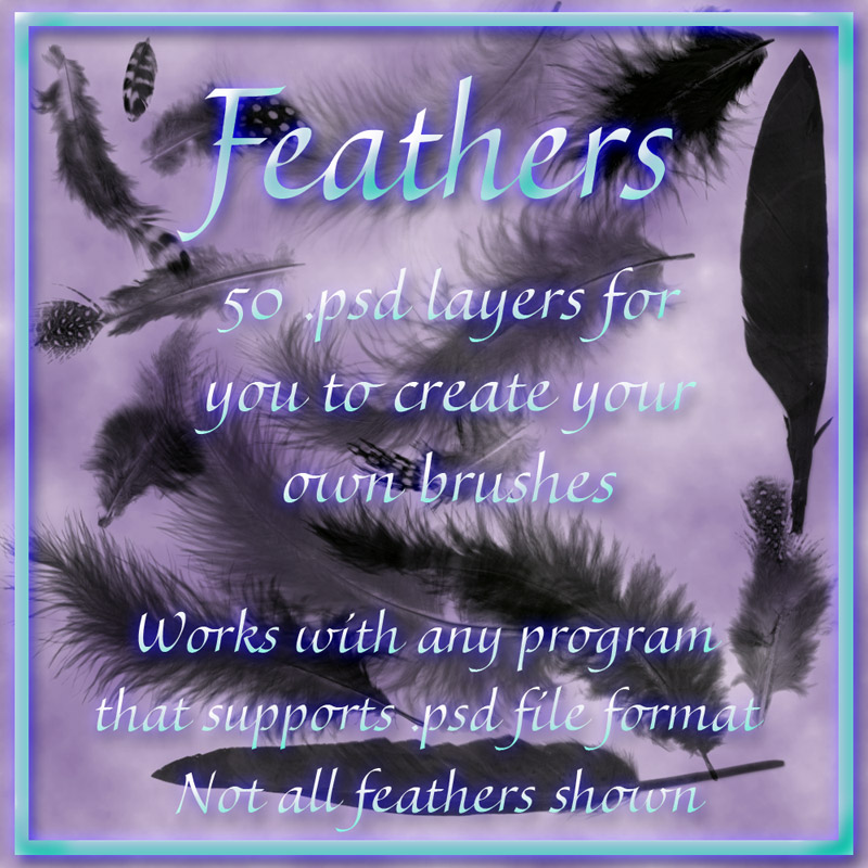 Feather Brushes by N/A