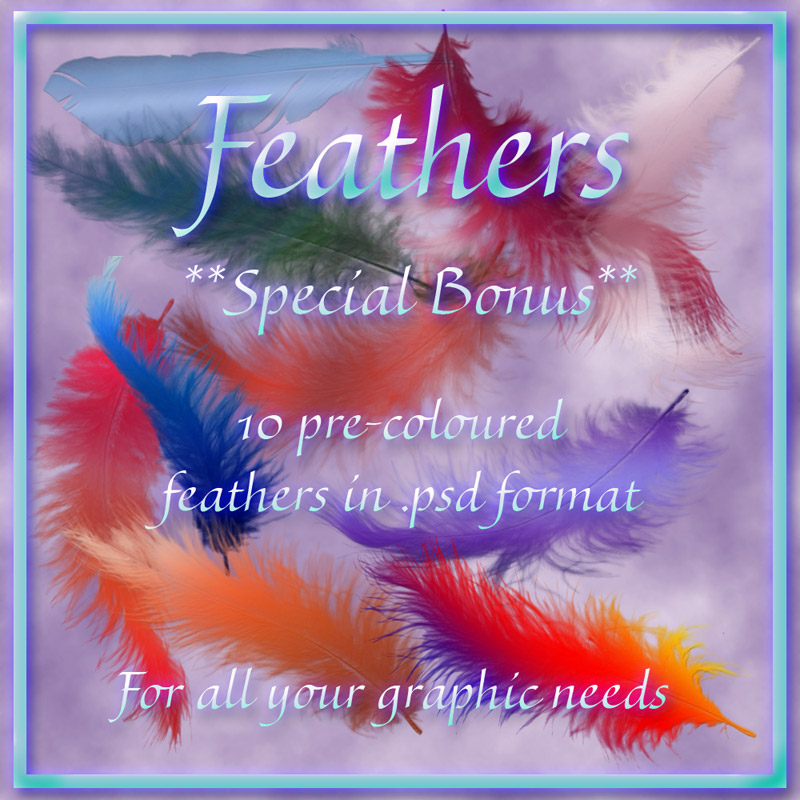 Feather Brushes by N/A