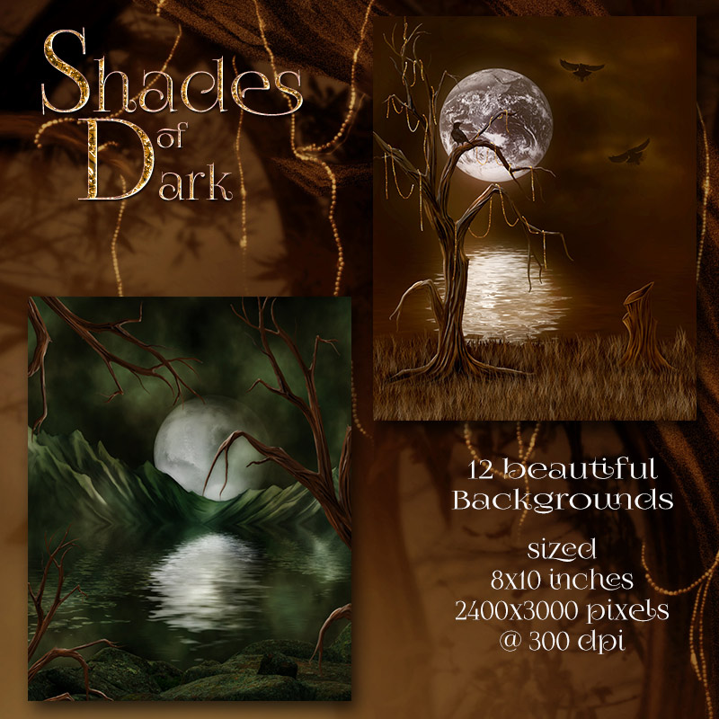 Shades Of Dark by N/A