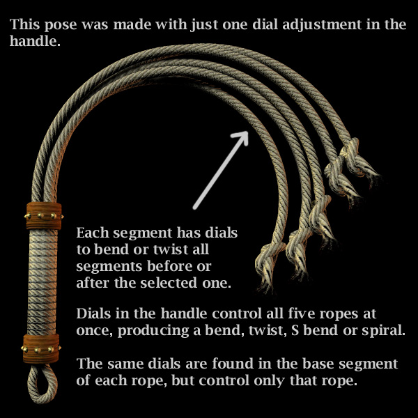 EasyPose Whip Pack by N/A