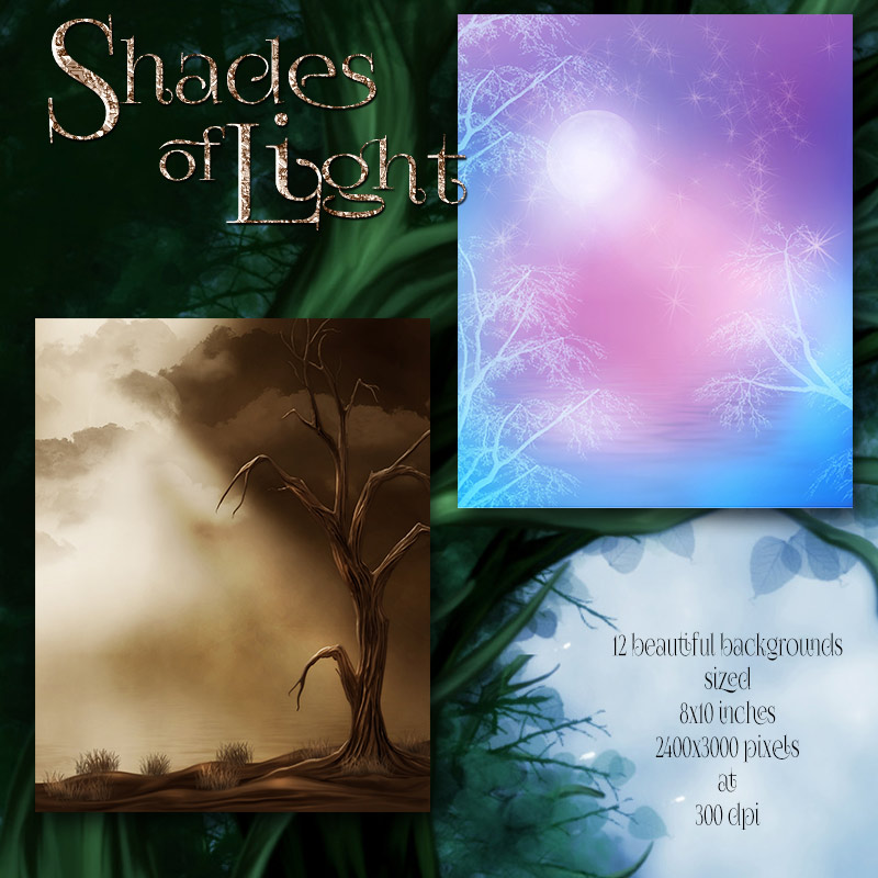 Shades of Light by N/A