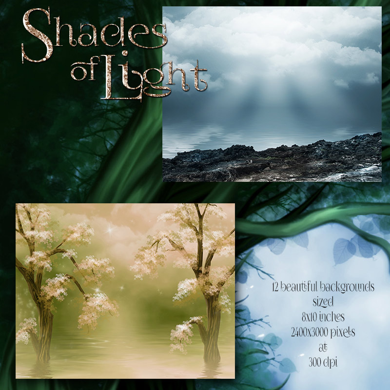 Shades of Light by N/A