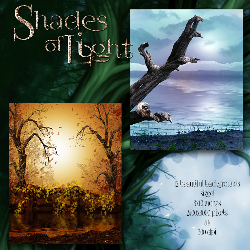 Shades of Light by N/A