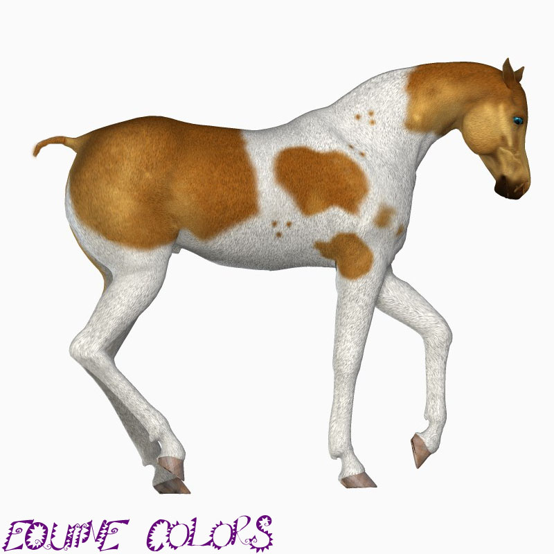 Equine Colors for the Mil Horse by N/A