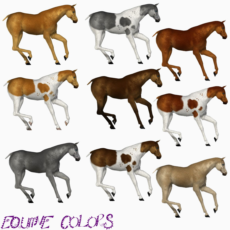 Equine Colors for the Mil Horse by N/A