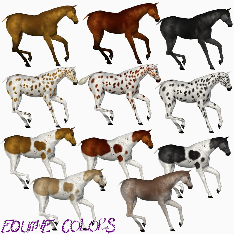 Equine Colors for the Mil Horse by N/A