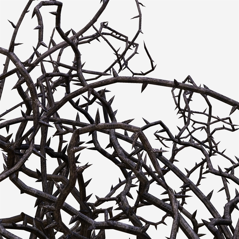 Thorns by N/A