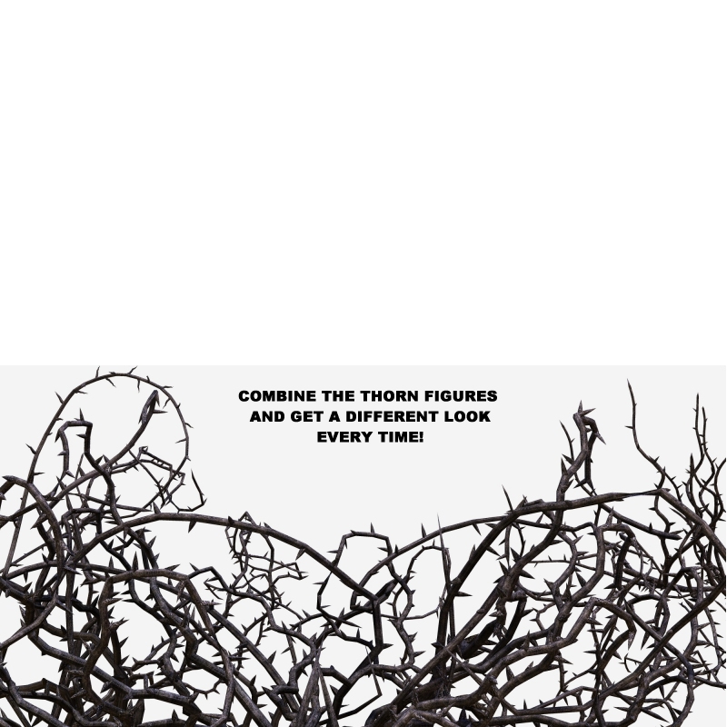 Thorns by N/A