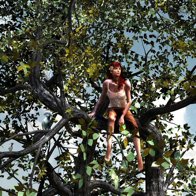 Deluxe Trees by N/A