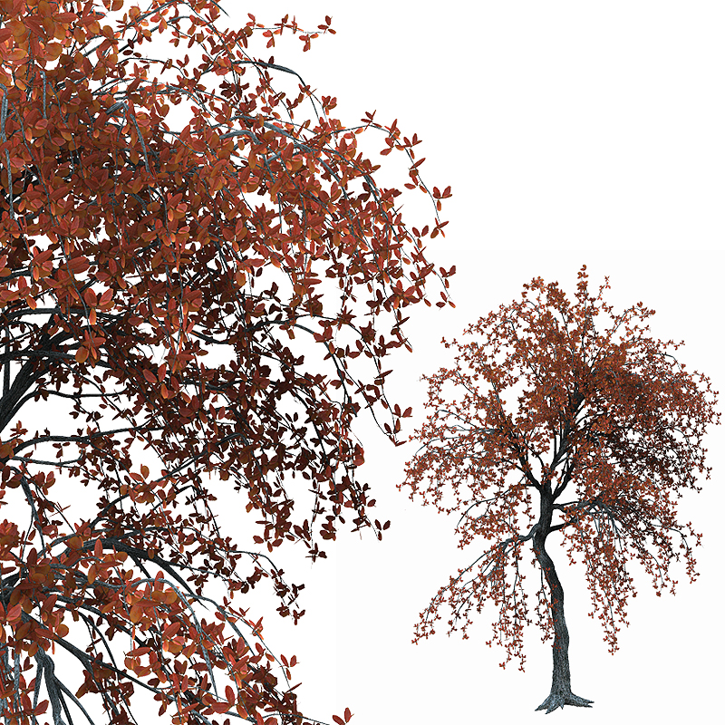Deluxe Trees by N/A
