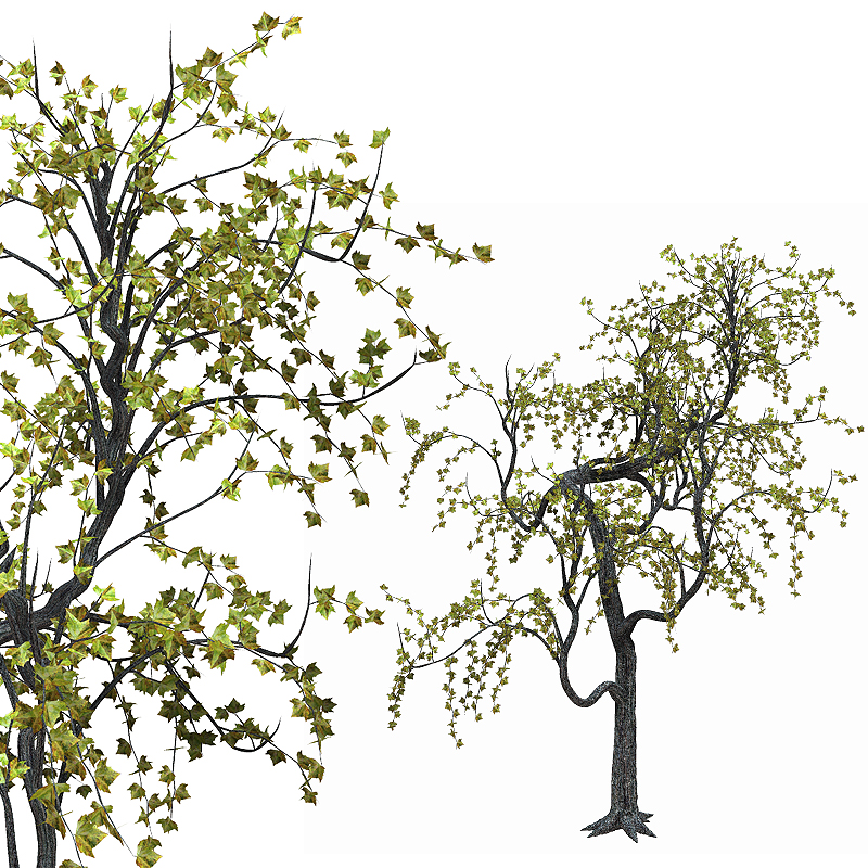 Deluxe Trees by N/A