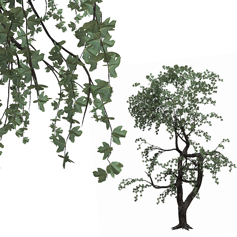 Deluxe Trees by N/A