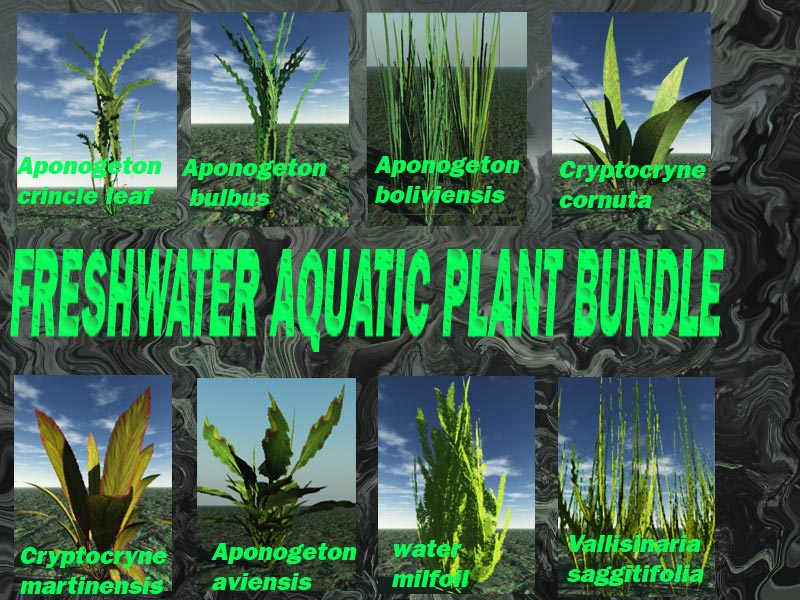 Freshwater Aquatic Plant Bundle by N/A