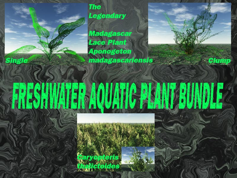 Freshwater Aquatic Plant Bundle by N/A