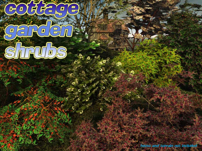 Cottage garden shrubs by N/A
