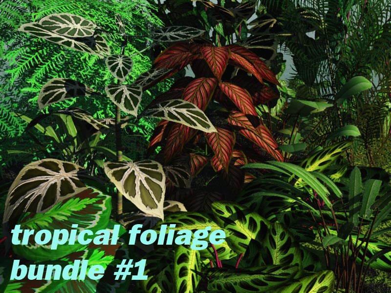 Tropical Foliage Bundle #1 by N/A