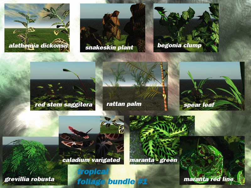 Tropical Foliage Bundle #1 by N/A