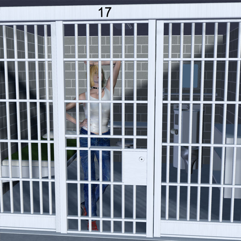 The Jail Cell by N/A