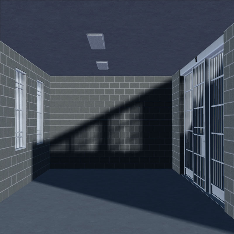 The Jail Cell by N/A