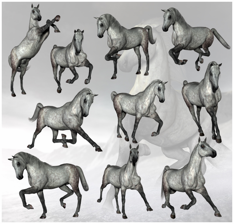 CG Horse Poses by N/A
