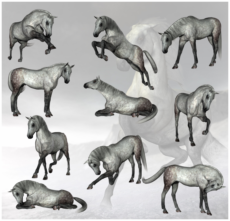 CG Horse Poses by N/A