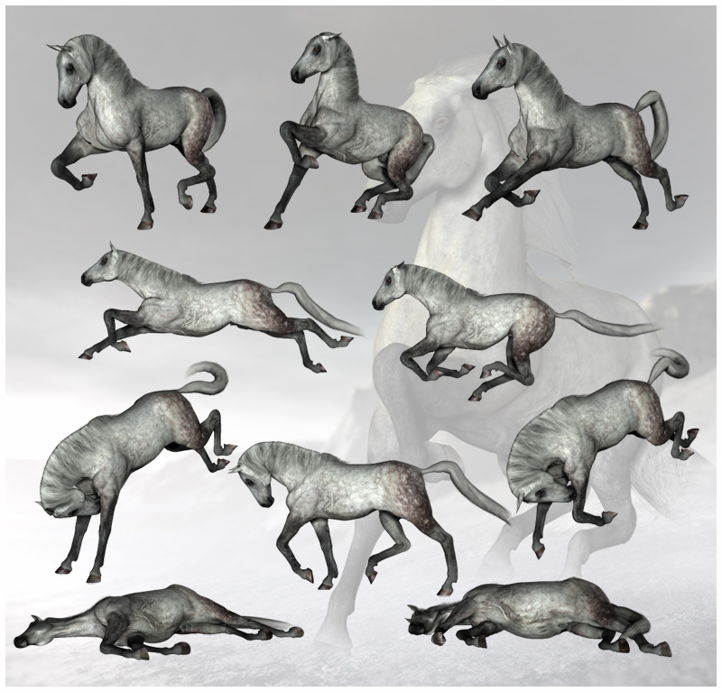 CG Horse Poses by N/A