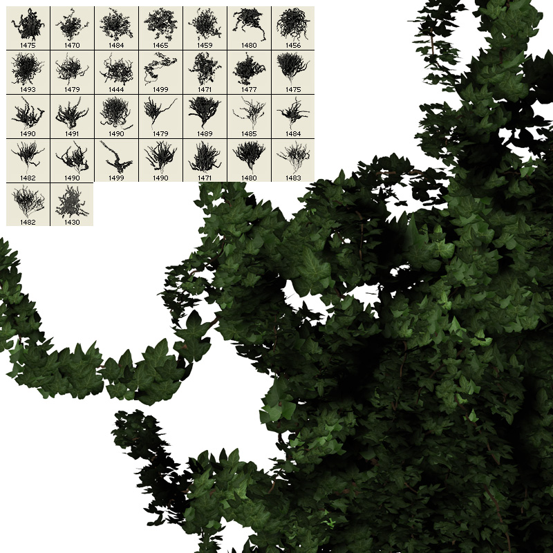Ivy - PSD Layers & Brushes by N/A