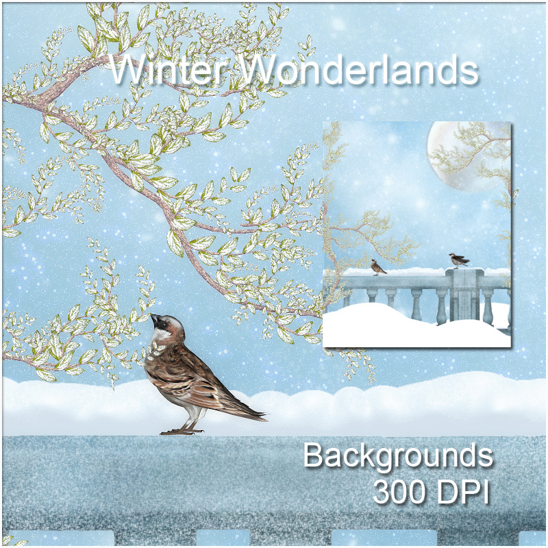 Winter Wonderlands by N/A