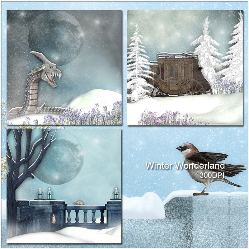 Winter Wonderlands by N/A
