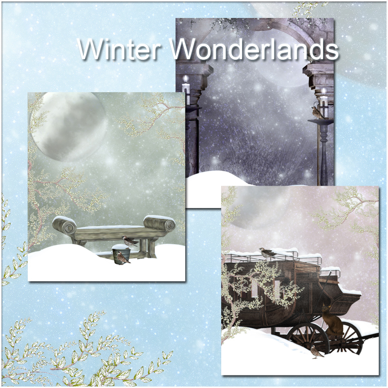 Winter Wonderlands by N/A