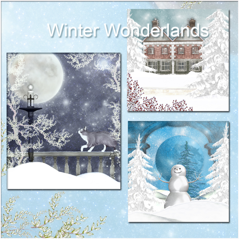 Winter Wonderlands by N/A
