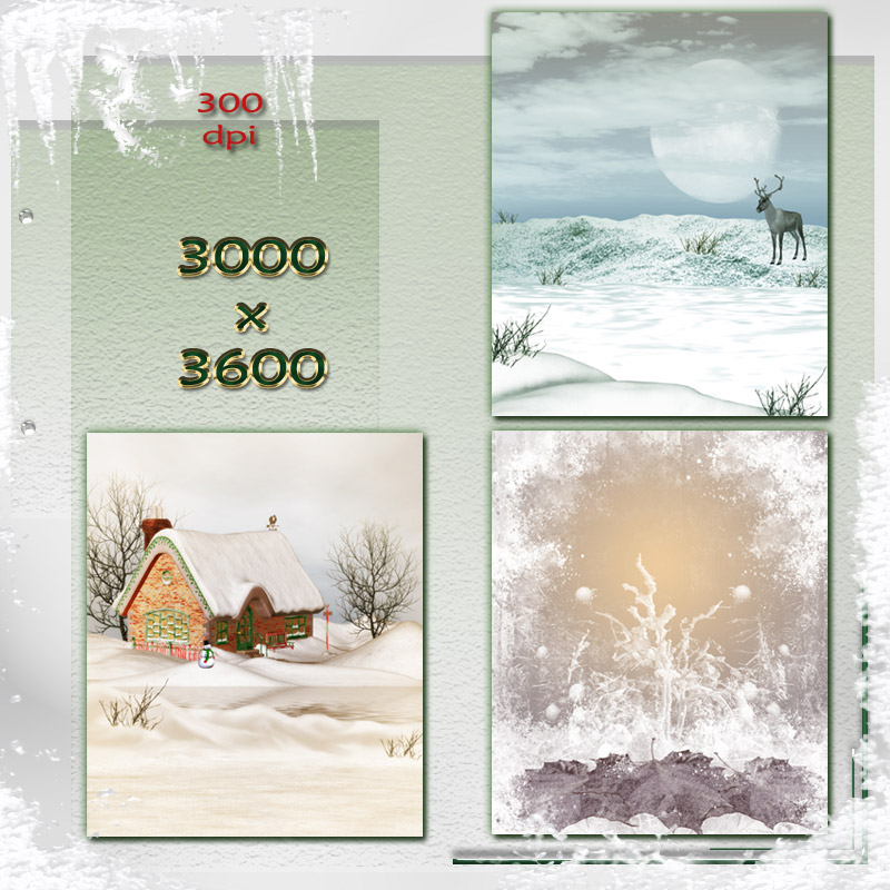 North Pole Treats by N/A