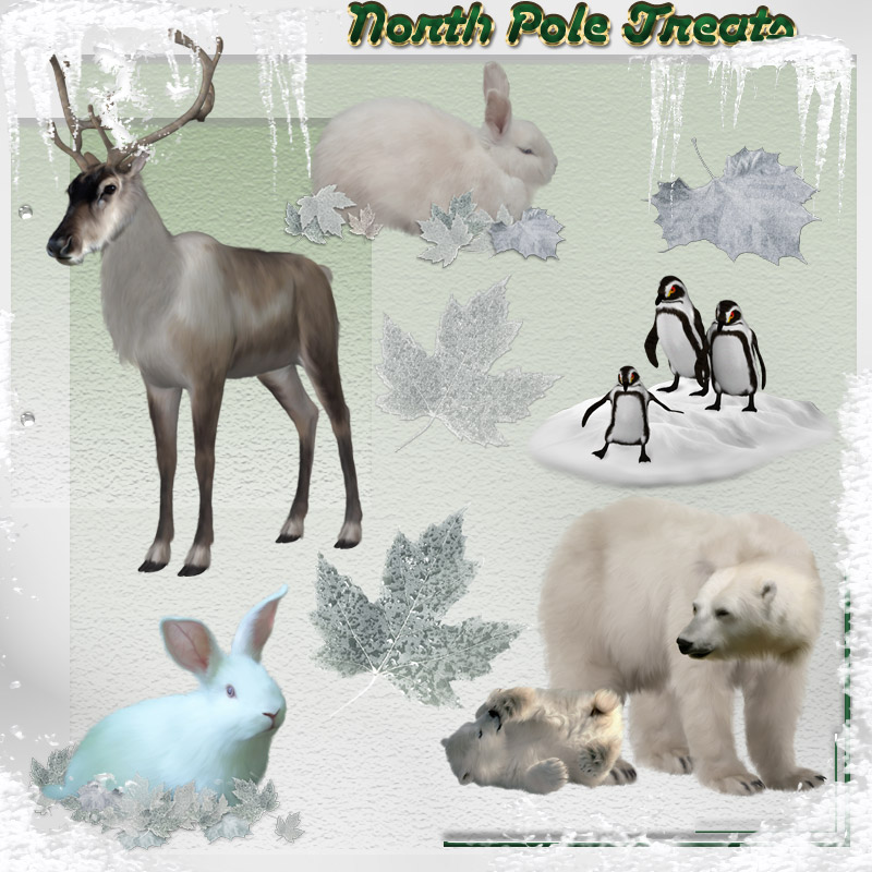 North Pole Treats by N/A