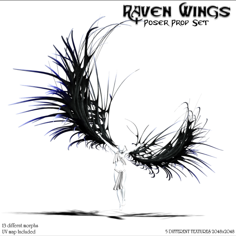Raven Wings by N/A