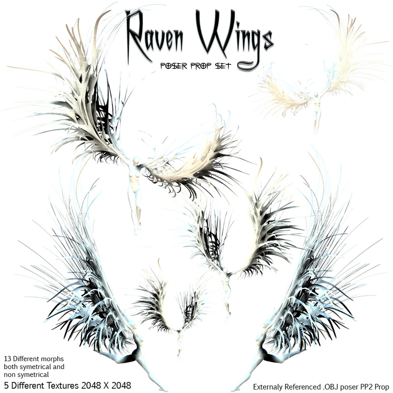 Raven Wings by N/A
