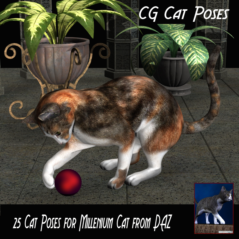 CG Cat Poses by N/A