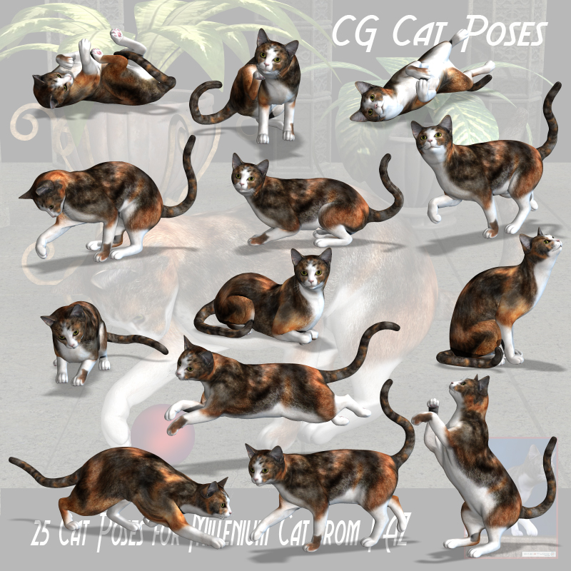 CG Cat Poses by N/A