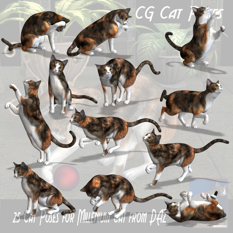 CG Cat Poses by N/A