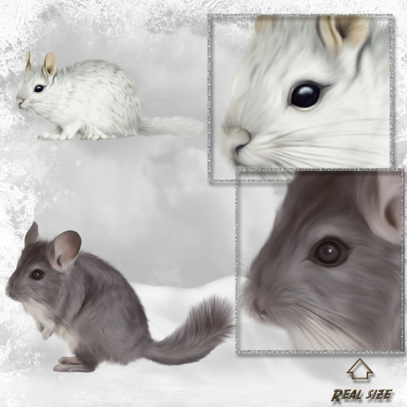 ANIMALIS - Pet Store by N/A