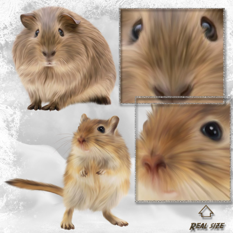 ANIMALIS - Pet Store by N/A