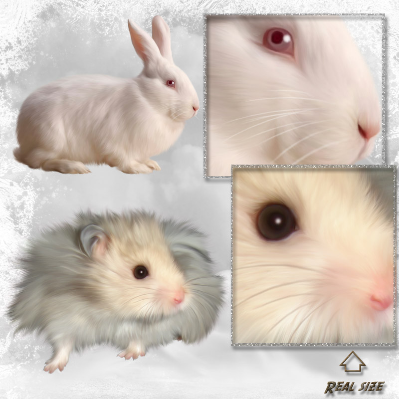 ANIMALIS - Pet Store by N/A