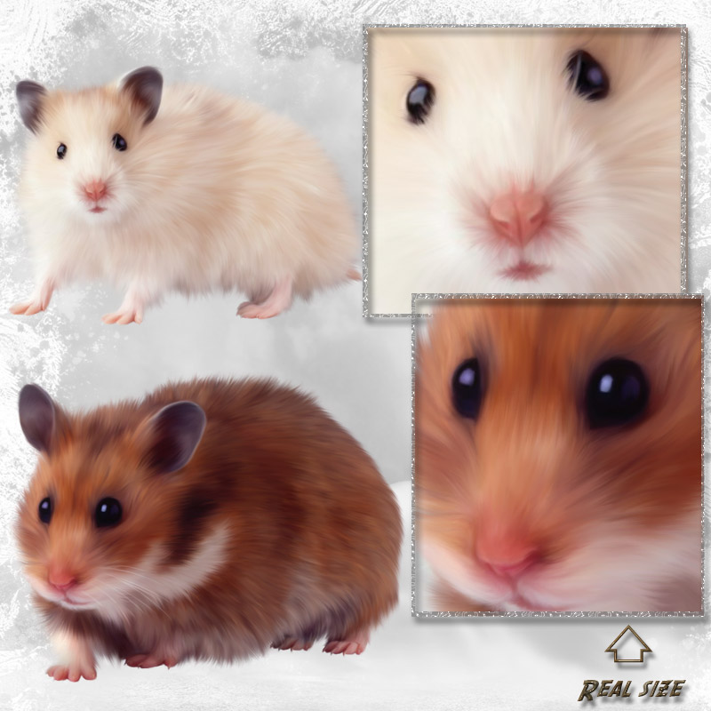 ANIMALIS - Pet Store by N/A