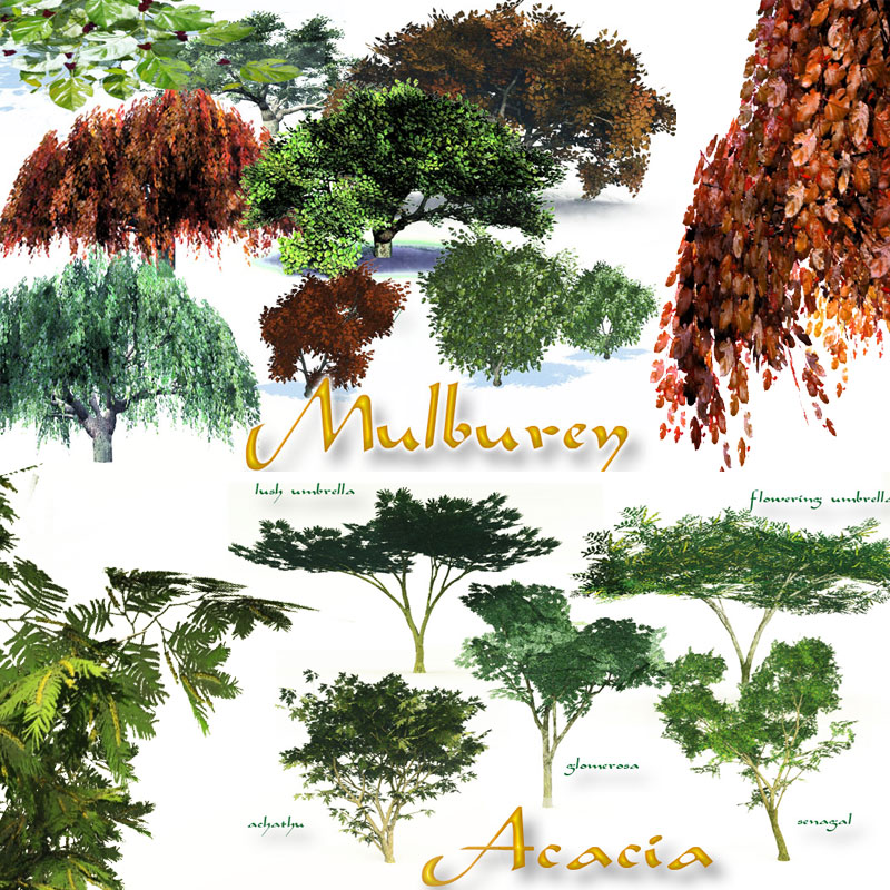Exotic Trees MegaPack by N/A